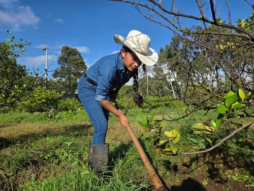 Estudiantes aplican conocimientos en cultivos y manejo del suelo. (Foto: Edwards Morales)