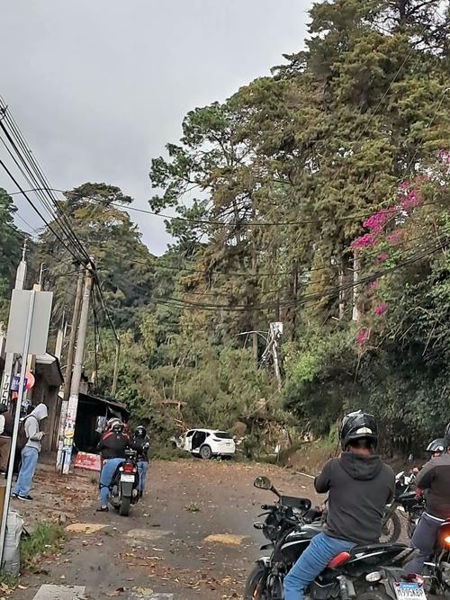 Un vehículo se habría visto afectado por la caída del árbol. (Foto: Redes sociales)