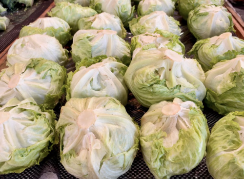 lechuga contaminada, EEUU, soy502, guatemala, noticias, brote 1