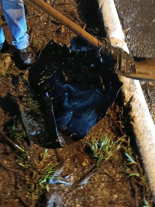 (Foto vía: Municipalidad de Guatemala)