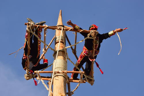 Los micos realizan piruetas mientras permanecen en la cúspide del Palo Volador. (Foto: Leonel Vásquez)