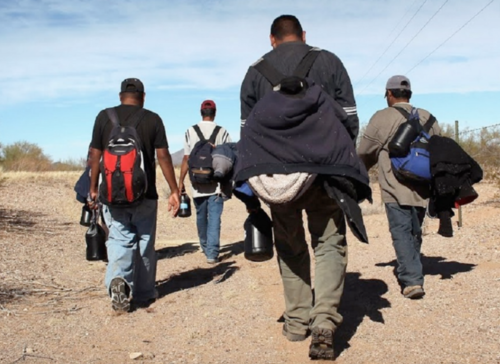 Según autoridades de EE. UU., la red trasladó a alrededor de 20 mil migrantes desde Guatemala. (Foto: KPBS)