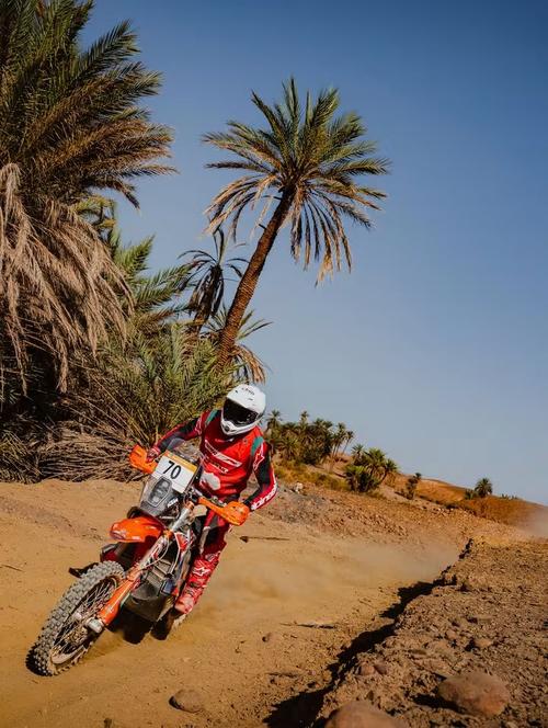 Ahora, Francisco Arredondo, continuará con su plan de preparación para enfrentar el Rally Dakar, del 1 al 15 de enero del 2027 en Arabia Saudita. (Foto: BAS World KTM Racing Team)