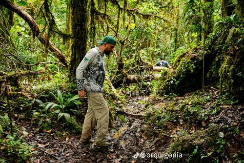 Mientras observaban orquídeas, exploradores de Orquigonia localizaron fragmentos fósiles en la Cooperativa Samac. (Foto: Orquigonia)