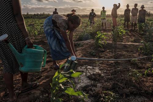 La Organización Meteorológica Mundial advierte de un "mayor riesgo de sequía" en el sur de África cuando el fenómeno de El Niño llegue en octubre. (Foto: AFP)