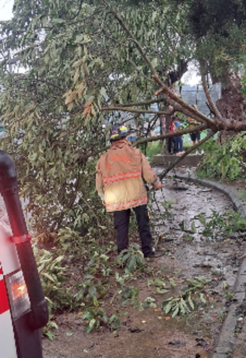 Bomberos Voluntarios han brindado apoyo para cubrir estas emergencias. (Foto: CVB)