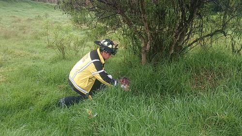 Bomberos Voluntarios atendieron la emergencia. (Foto: Bomberos Voluntarios)