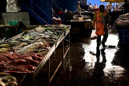 Los pescadores artesanales del Pacífico oriental, desde las costas de Ecuador y Perú hasta las de Panamá y Guatemala, sufren el impacto del calentamiento del océano provocado por el fenómeno de El Niño. (Foto: AFP)