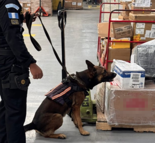 Durante estas diligencias se recibió apoyo de un agente K9. (Foto: PNC)