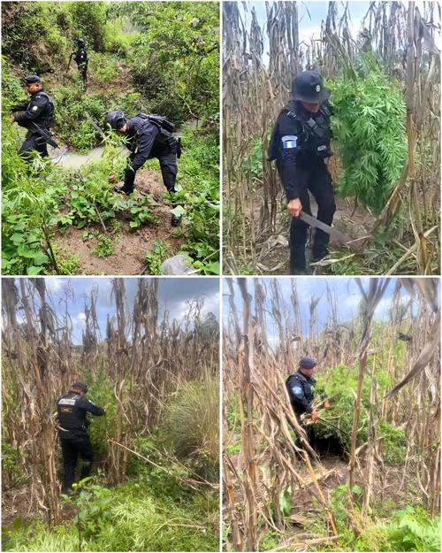 (Foto vía: Policía Nacional Civil)