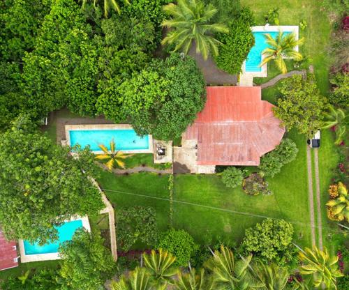 Finca Montecristo está ubicado en San Miguel Panán, Suchitepéquez. (Foto: Finca Montecristo gt)