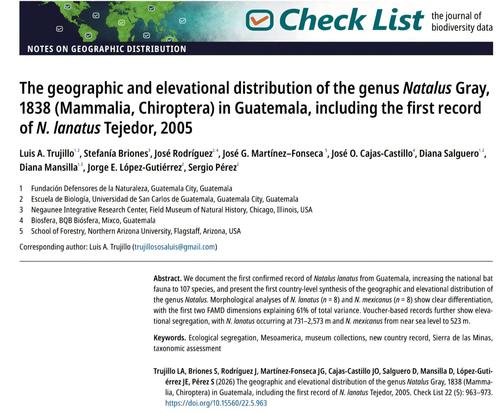 Murcielago, Guatemala, especie, Natalus lanatus, soy502, guatemala, noticias, ambiente 2