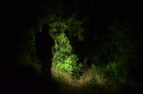 Los vecinos afirman que este camino de Nimá también es conocido como el lugar encantado, debido a las apariciones que muchos han experimentado. (Foto: Josué Ardeano)