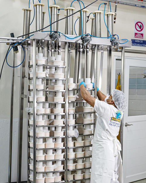 La finca cuenta con una diversidad de opciones lácteas que van desde la leche pura hasta el queso crema y quesos maduros. (Foto: Julio Bala)