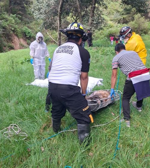 Hernández había desaparecido después de caer en un barranco por donde pasa un río de corriente fuerte. (Foto: Bomberos Voluntarios)
