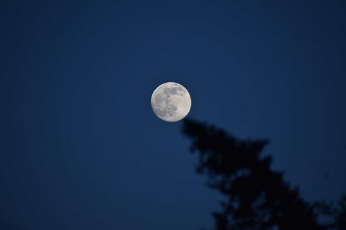 Luna del Cazador, ver, fin semana, soy502, guatemala, noticias, vida estilo, ciencia 1
