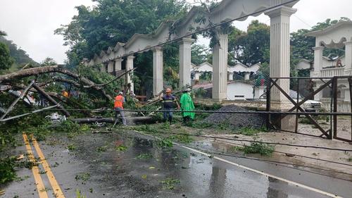 Varios árboles fueron derribados por los fuertes vientos y lluvias prolongadas. (Foto vía: PROVIAL)