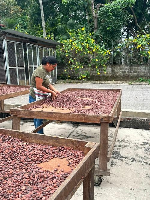 Finca Museo La Cruz no es simplemente un centro de producción agrícola; es un destino turístico que invita a viajeros a sumergirse en la historia, el cultivo y el sabor del chocolate guatemalteco. (Foto: Finca Museo La Cruz)