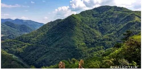 Las montañas se extienden entre el inmenso verde que caracteriza a Cahabón. (Foto: Rinaldo Ixim)