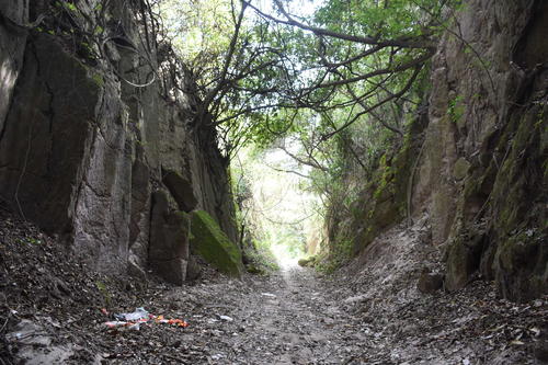 Se puede llegar hasta el municipio de Sanarate y las personas podrán tener contacto con la naturaleza. (Foto: Olga Vásquez)