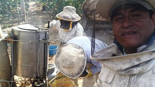 Carlos Quelex y su ardua labor salvando abejas de todo Guatemala. (Foto: Carlos Sotz/Colaborador)