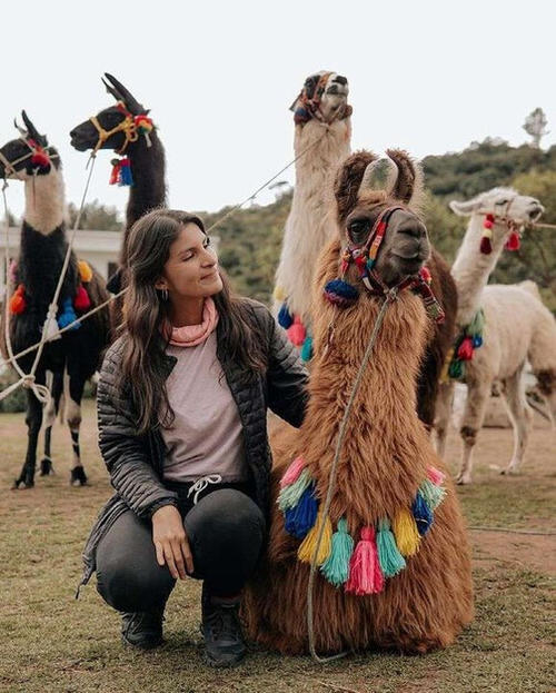 El turismo nacional e internacional llega a Chiabal para conocer más de los animales de origen suramericano. (Foto: José Gómez/Colaborador)