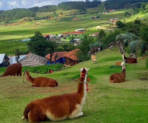 El paseo en la Sierra de Los Cuchumatanes es una experiencia inolvidable. (Foto: José Gómez/Colaborador)