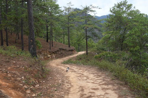 Para llegar al lugar, es preferible hacerlo en vehículo de doble tracción. (Foto: Juan Carlos Aquino/Colaborador)