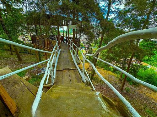 Conoce el Polideportivo José Carlos Raxón y su gran casa de árbol. (Foto: Mario Equité/Colaborador)