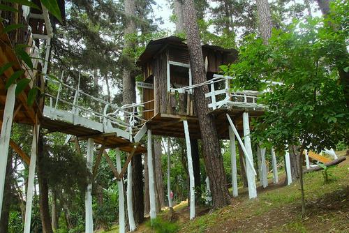 Nueva casa del árbol en San Juan Sacatepéquez: Precios y horarios. (Foto: Mario Equité/Colaborador)