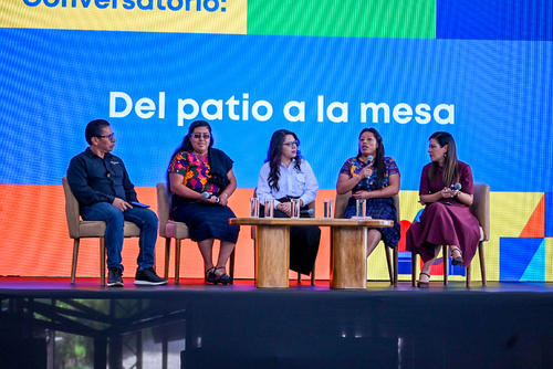 Fundación Pepsico, Echar Raíces, familias, alimentaria, nutricional, emprendimientos, huertos, gallineros, Guatemala, Soy502