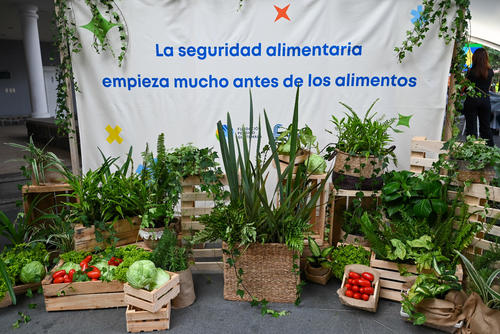 Fundación Pepsico, Echar Raíces, familias, alimentaria, nutricional, emprendimientos, huertos, gallineros, Guatemala, Soy502