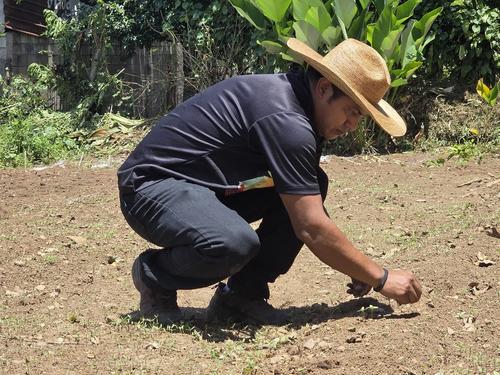 Cultivos y Girasoles de Chocolá invita a conocer un proyecto que impulsa el turismo rural y resalta la riqueza agrícola de Suchitepéquez. (Foto: Surama Rodas/Colaboradora)