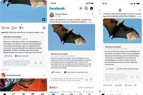 Las Notas de la Comunidad sirven para colocar contexto o corrección a las publicaciones. (Foto: Redes sociales)