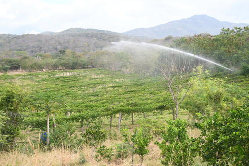 Se debe evaluar el terreno para que sea fértil. (Foto: Juan Carlos Aquino/Colaborador)