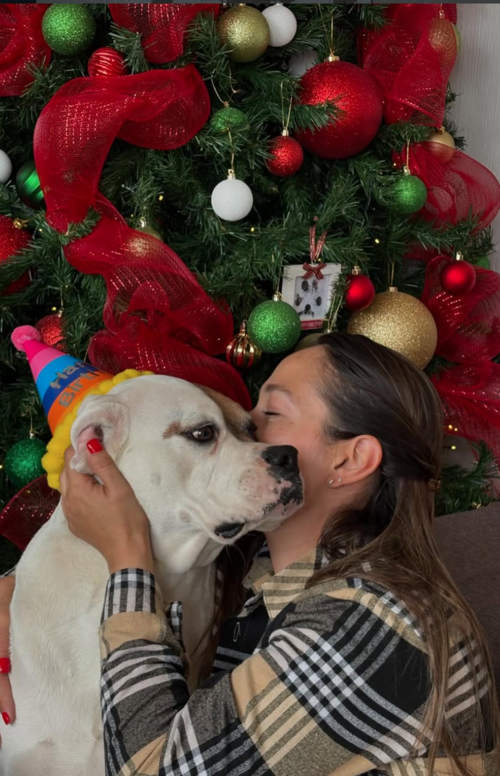 Vera Brenner, adopción, animales, empatía, tacuazín, adoptar, Guatemala, Soy502