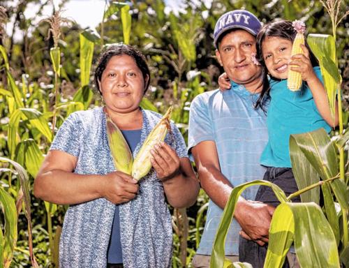 World Vision plantea combinar asistencia alimentaria, apoyo a la producción, sistemas de alerta temprana y medidas de adaptación para fortalecer la respuesta de los hogares rurales. (Foto: World Visión)