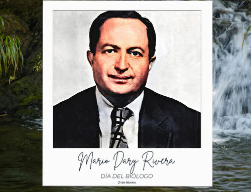 El científico y conservacionista Mario Dary Rivera dedicó su vida al estudio de la naturaleza. (Foto: CONAP)