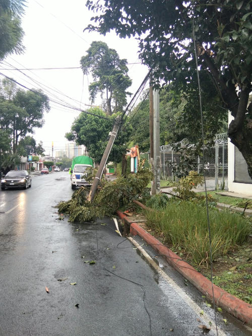 El poste con cableado había quedado sobre la cinta asfáltica. (Foto: PMT)