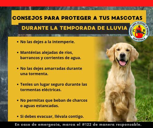 (Imagen vía: Bomberos Voluntarios)