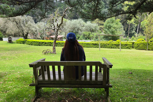 Entre árboles y senderos, Casa Xara ofrece una experiencia pensada para quienes desean alejarse por unos días del movimiento cotidiano. (Foto: Julio Bala)