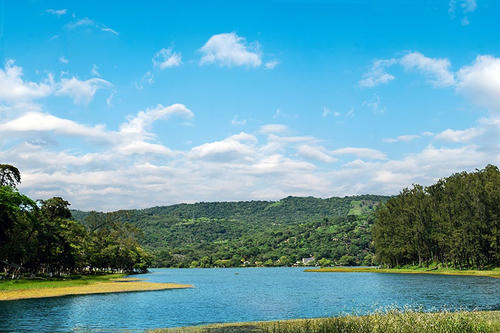 En la laguna del Pino puedes rodearte de naturaleza y respirar aire puro. (Foto: Guategt)