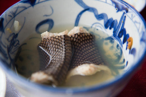 La sopa de serpiente, en especial de serpiente venenosa, es considerado un platillo con poderosos efectos nutricionales en China. (Foto: Wikipedia).