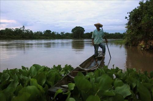 Un "pantanero", como son conocidas las personas que viven en este lugar, pasa en su canoa sobre el río Cuiabá, en la ciudad de Poconé, en El Pantanal, un gran humedal ubicado en el estado de Mato Grosso, en la frontera entre Brasil, Bolivia y Paraguay. (Foto: EFE)