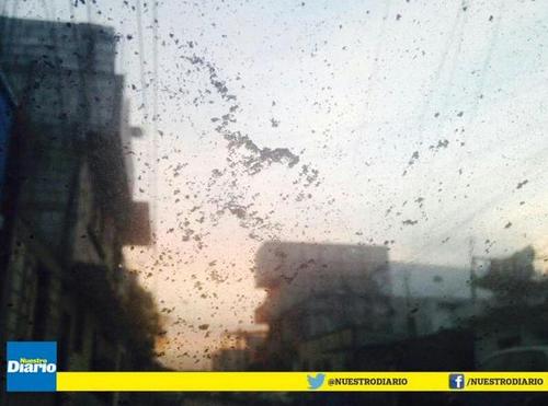 Los carros de la zona 13 de la capital también acumularon ceniza. (Foto: NuestroDiario/ Twitter)