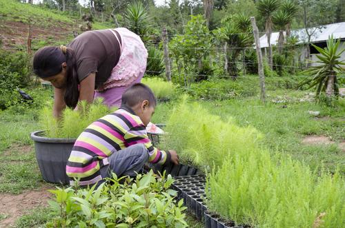Familias de la Aldea El Duraznal recibieron cientos de árbolitos. (Foto: Eddie Lara/Soy502)