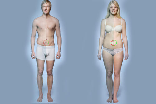 El tabaco daña prácticamente todo el organismo, tanto masculino como femenino.