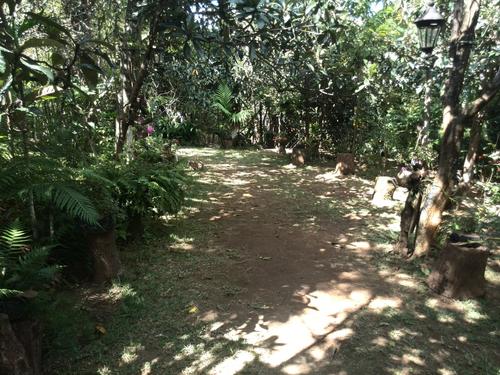 Campo para acampar en San Cristóbal El Alto. Desde ahí se pueden observar muy bien las estrellas. (Foto: Cortesía de Edgar Castro Bathen).