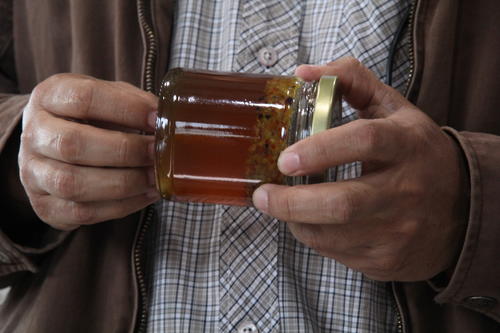 Durante este año se produjeron 300 quintales de miel de abeja, una cifra por debajo de lo esperado, pero que podría incrementarse el próximo año (Foto: Alexis Batres/Soy502)
