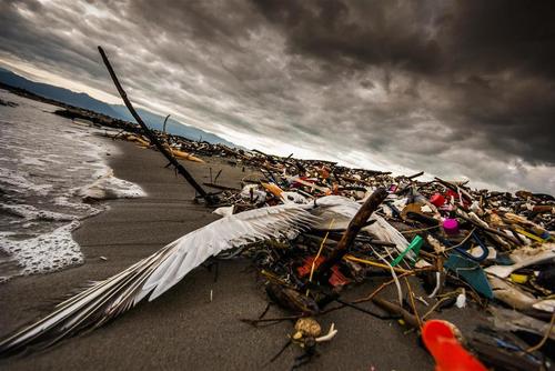 Los ríos son los principales afectados por la contaminación que llega hasta el mar y daña la vida de miles de especies. (Foto: Sergio Izquierdo)